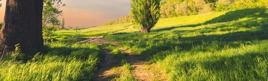 Aanmelding voor de Gratis Tweejarige Opleiding Transformatie Academie 2017