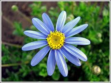 invloed op de wereld