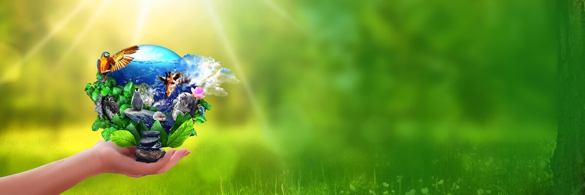 de Krachtcentra van de Aarde: Sleutels tot Transformatie!