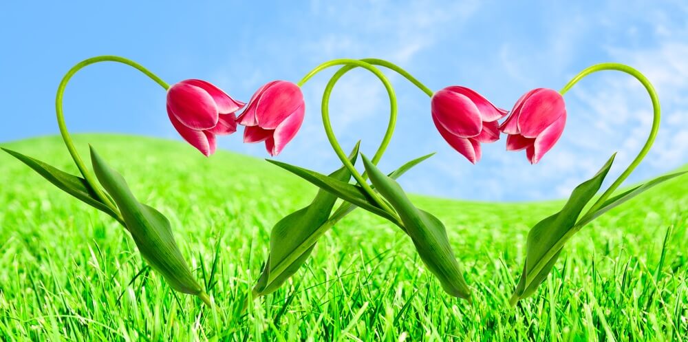 Liefde als Levenspad?