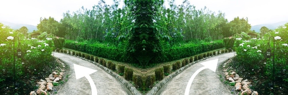 een Kosmisch Sabbatical