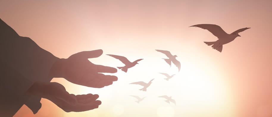 Bestaan Vorige Levens?