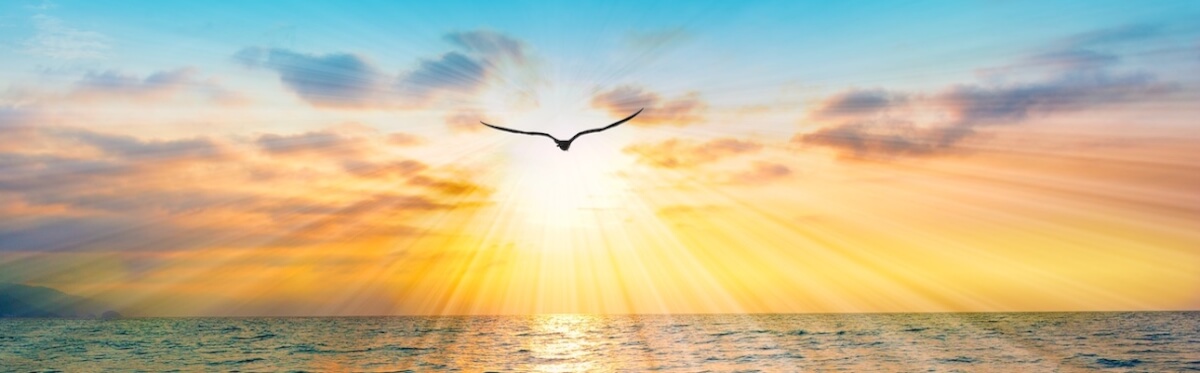 Lente Aanbieding: thuiskomen bij jezelf – Gun jezelf dit moment van Thuiskomen